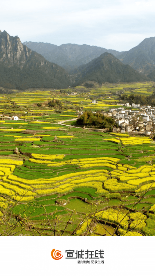 宣城在线App下载