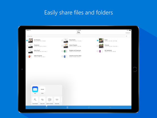 OneDrive iPad版