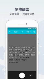 有道翻译在线翻译英语中译英下载