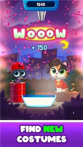 基蒂鸡尾酒Kitty Cocktails