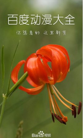 百度动漫大全