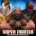 Day of Street Fighter(超级街头霸王)