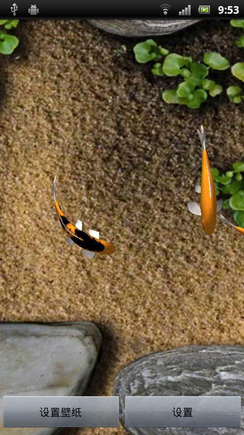 手机养鱼3D动态金鱼壁纸下载