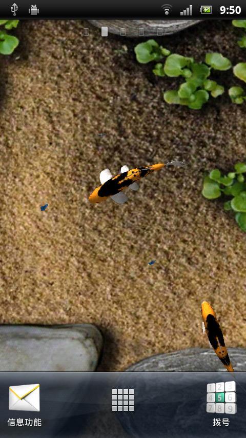 手机养鱼3D动态金鱼壁纸下载