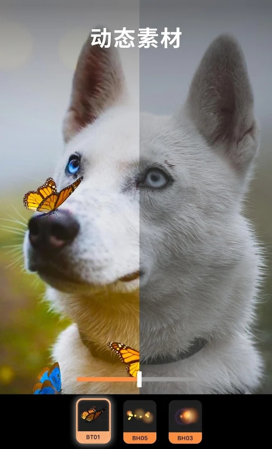 motionleap动图制作神器下载