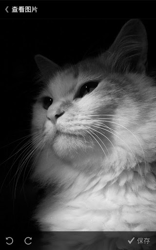 Fuubo微博客户端