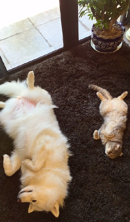 端午妞妞图片壁纸手机专属