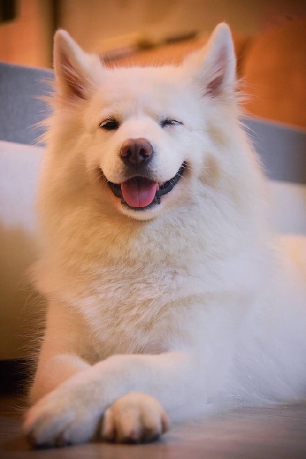 端午妞妞图片壁纸手机专属