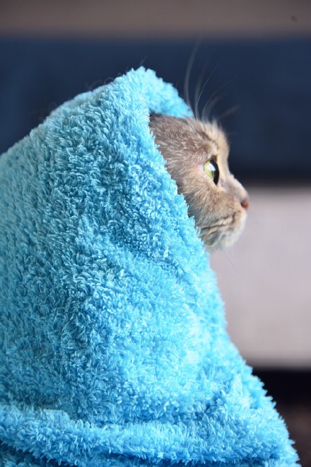 端午妞妞图片壁纸手机专属