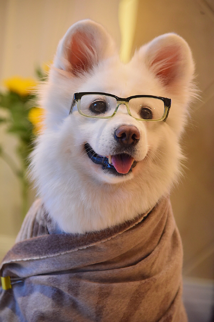 端午妞妞图片壁纸手机专属