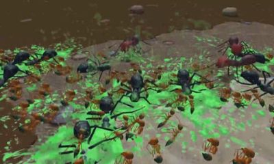 Sand Ant Farm(蚂蚁农场)