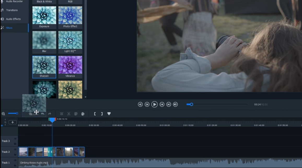 ACDSee飞鸟简辑专业版