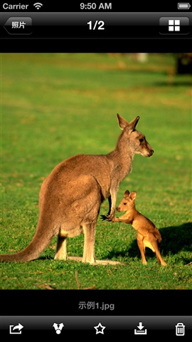 酷盘手机客户端