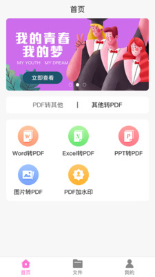 PDF格式大师