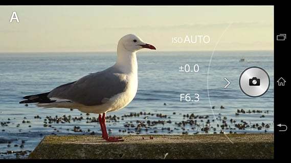 playmemories mobile官方下载