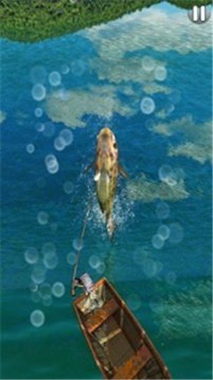终极钓鱼3D手游(Fishing)