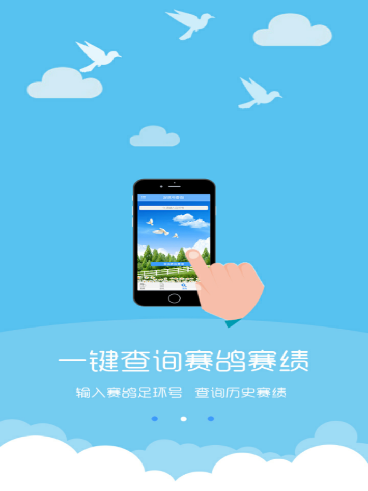 中鸽网直播app下载