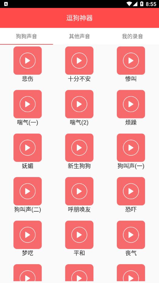 宠物宝app