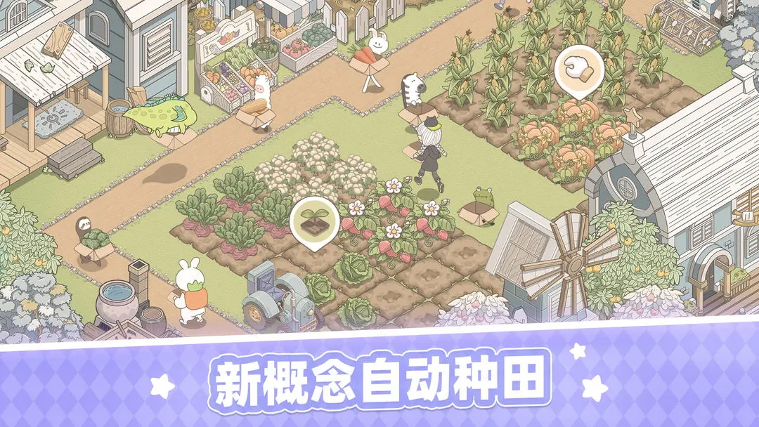 梦幻的城国际服