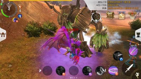 混沌与秩序2国服