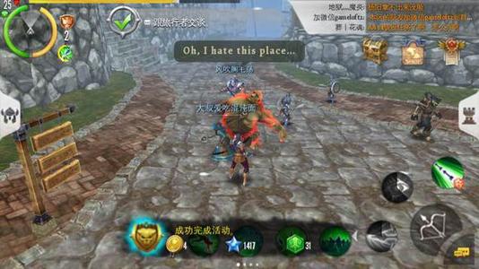 混沌与秩序2国服