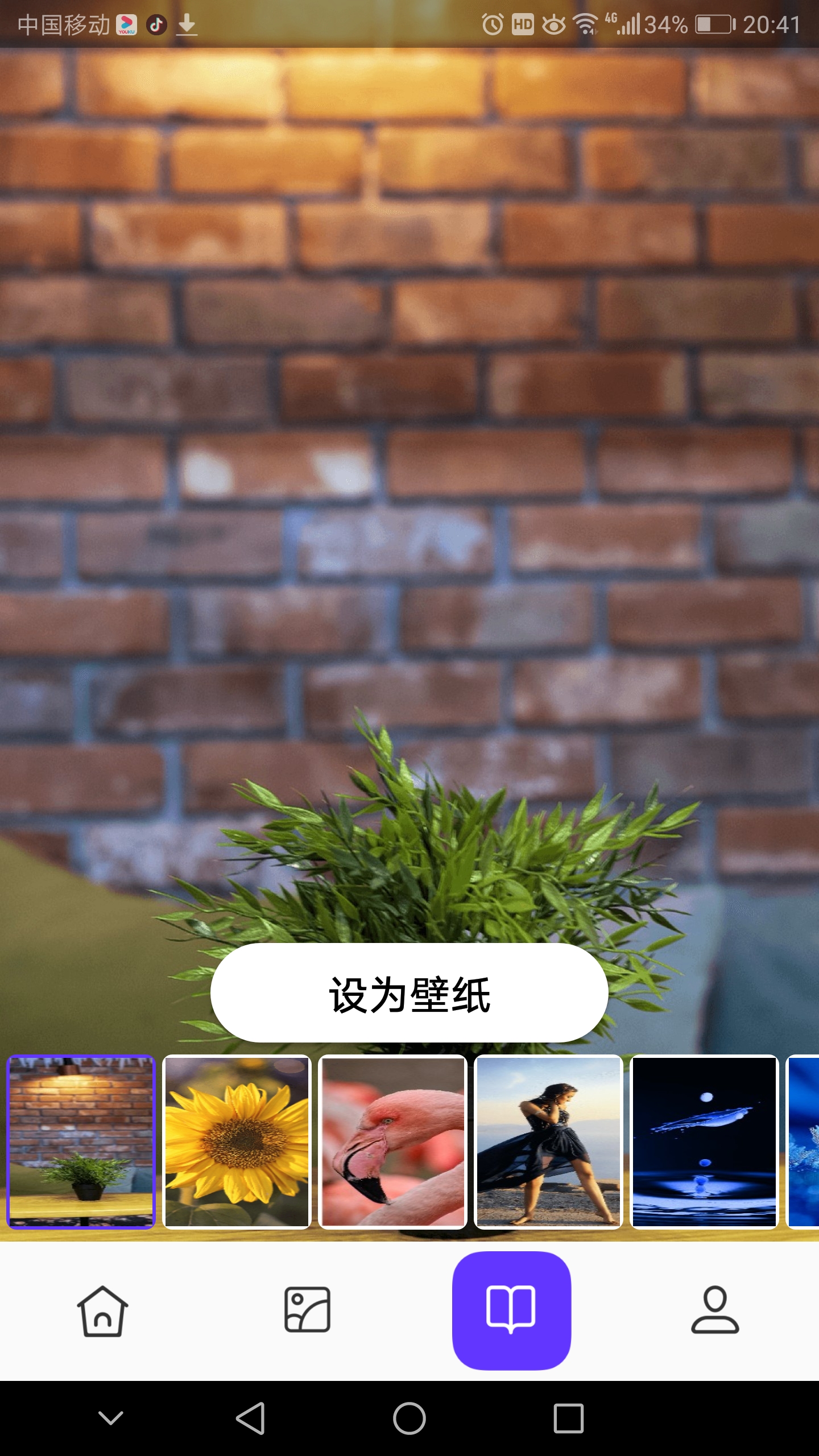 皮皮助手ios