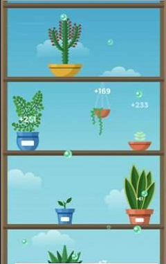 悠哉悠哉植物园Terrarium