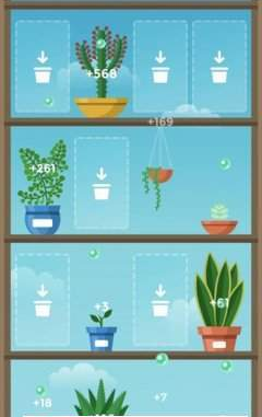 悠哉悠哉植物园Terrarium