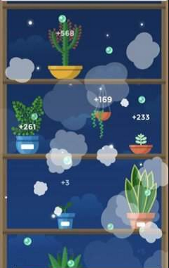 悠哉悠哉植物园Terrarium