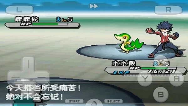 口袋妖怪白2中文汉化