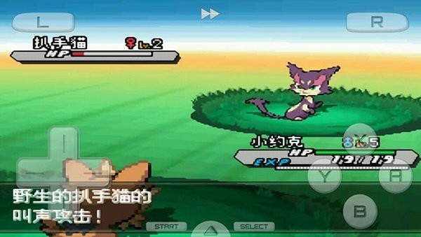 口袋妖怪白2中文汉化