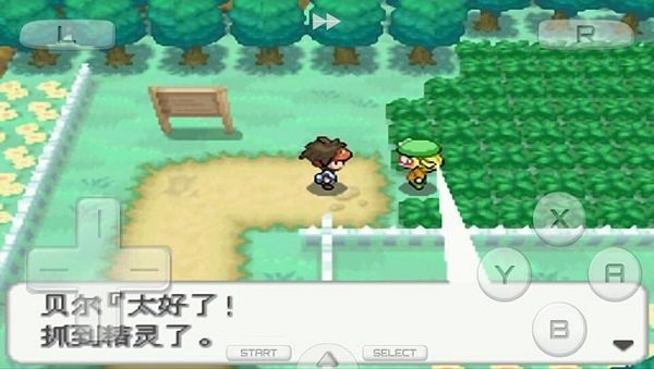 口袋妖怪白2中文汉化