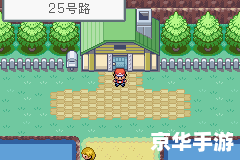 口袋妖怪火红二周目：挑战与冒险的再度升级
