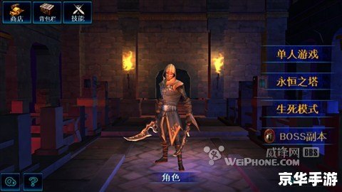 暗黑复仇者攻略：成为最强复仇者的秘诀