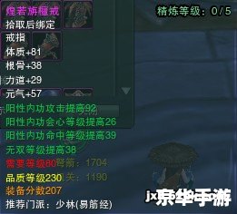 英雄荻花宫攻略：击败最终BOSS的方法与技巧