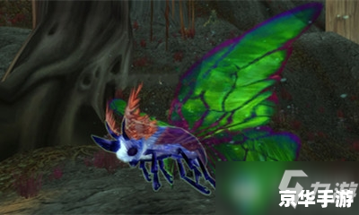 魔兽世界猎人宠物：选择、培养与战斗