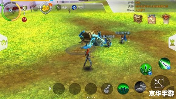 混沌与秩序攻略,混沌与秩序：攻略解析