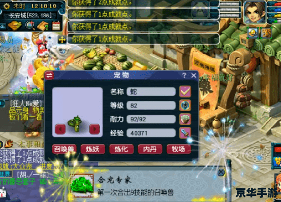 梦幻西游召唤兽：探索神秘的灵兽世界