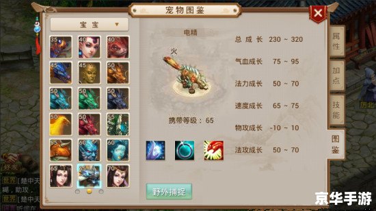 **问道法火怎么加点**