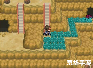 口袋妖怪黑白2二周目图文攻略