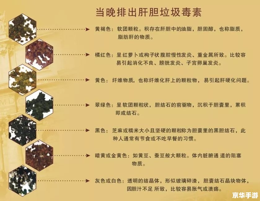 我去还有这种操作攻略,解析与攻略内容概览