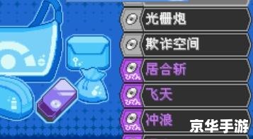 口袋妖怪黑白金手指：在游戏世界中掌控命运的魔法工具