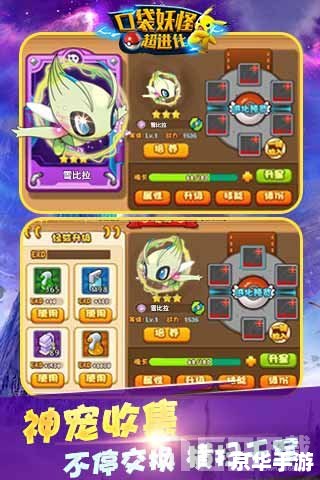口袋妖怪银魂攻略：探索神秘的宝可梦世界
