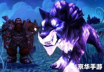 魔兽世界灵魂兽大全