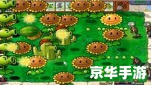 植物大战僵尸中文补丁：让游戏更加精彩