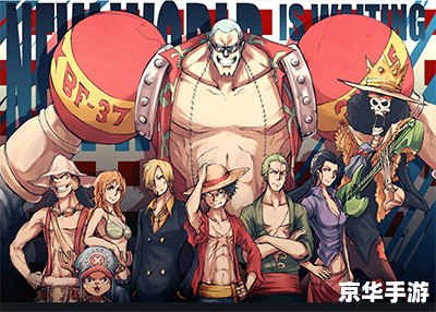 梦想海贼王攻略：成为海贼王的必经之路