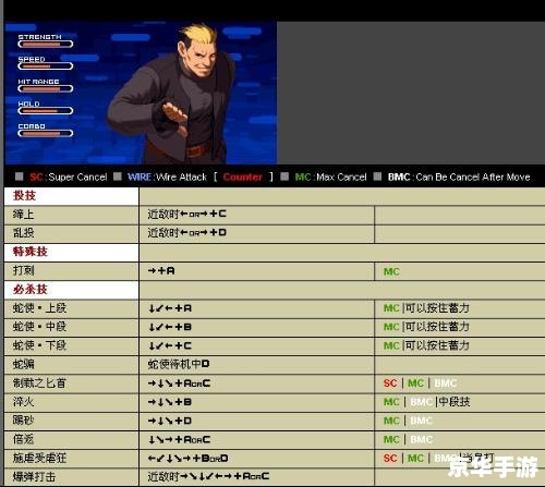 拳皇2002boss出招表,【拳皇2002】BOSS出招表解析