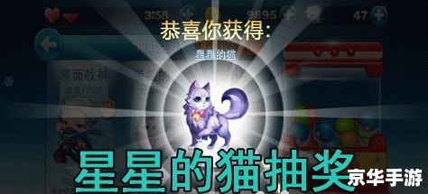 【天天酷跑积分抽奖技巧】揭秘：让你轻松获得稀有奖品！