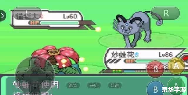 口袋妖怪心金攻略：成为宝可梦大师的终极指南