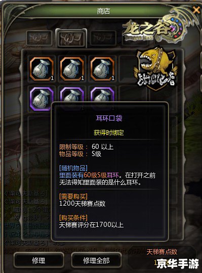 龙之谷龙之远征队,龙之谷：龙之远征队——冒险与挑战的史诗之旅